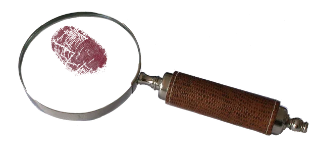magnifying, glass, bloody, fingerprint, detective, mystery, lens, magnifier, discovery, tool, magnify, crime, investigate, optical, investigation, whodunnit, clue, criminal, evidence, print, examination, finding, enlarge, clue, clue, evidence, evidence, evidence, evidence, evidence. Grant claim evidence: what to keep when a funder asks for proof